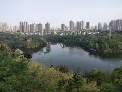 -重庆彩云湖湿地公园