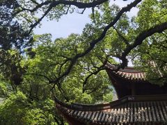 -阿育王寺