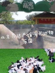 -萌宠亲子动物乐园(槐房万达店)