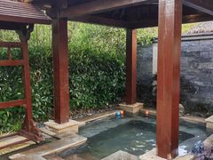 -嘉兴清池酒店温泉