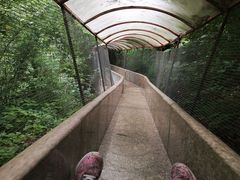 -青峰峡国家森林公园