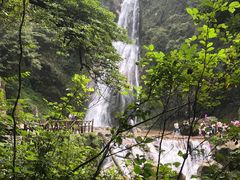 -炎陵县神农谷国家森林公园