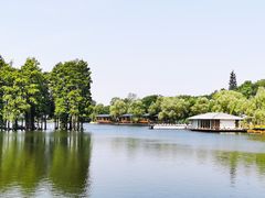 -东湖食堂·湖景餐厅•会议