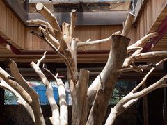 大堂-渔太泰漓江小馆·广西融合菜(西街店)