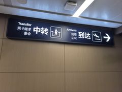 -青岛胶东国际机场