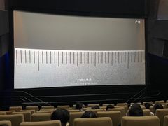 -万象影城(杭州万象城IMAX激光店)