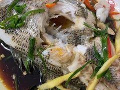 -东鸽皇(奥园·中环广场店)