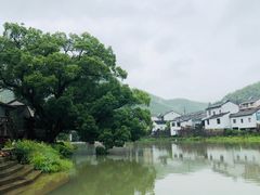-鹿亭中村