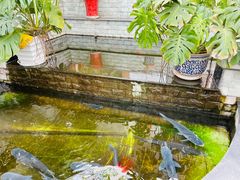 -燕北云山·农家菜·灶台鱼(密云溪翁庄店)