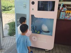 -朝阳公园游乐园