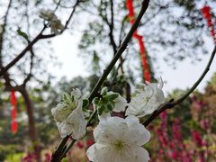 -桃花涧
