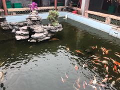 -寻味肇庆·八姑农庄·广府西江菜