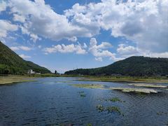 -腾冲北海湿地