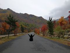 -丹东天桥沟景区