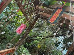 -呀路古热带植物园