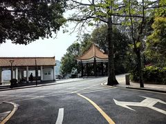 -深圳仙湖植物园