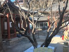 -宫事颐庭·老佛爷贵寿下午茶(颐和园店)