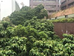 -香港大学