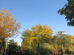 -绿堤公园