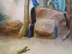-苏州海洋馆