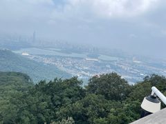 -紫金山山顶公园