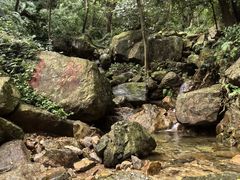 -北仑森林植物园