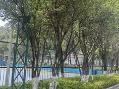 -云南师范大学(一二一西南联大校区)