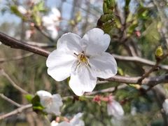 -龟山风景区-龟山电视塔