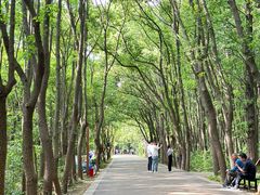 -同里国家湿地公园