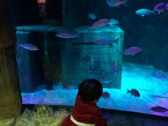 -沈阳海洋探索中心