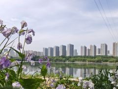 -长白岛森林公园