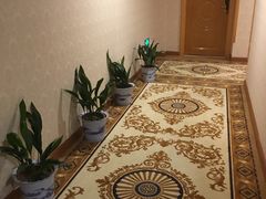 -维也纳酒店(南京奥体中心店)