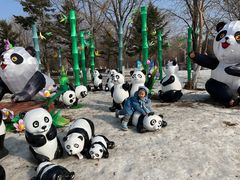 -沈阳奥体冰雪嘉年华