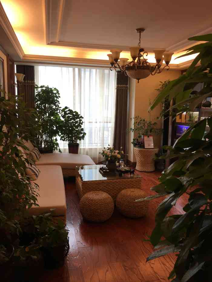 俊逸轩spa(cbd店)-"【项目】spa 这家店环境很好,服务周到.