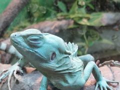 -上海昆虫博物馆