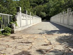 -白水寺森林公园