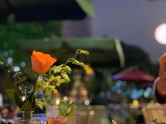 -ELI FALAFEL Lebanese&Mediterranean黎巴嫩美食(富城路店)