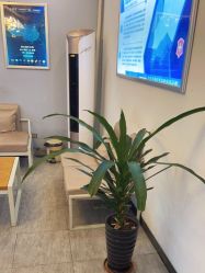 -痘庄科学祛痘国际连锁