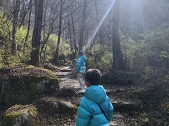 -青峰峡国家森林公园