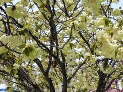 -宝泉胜境旅游度假区