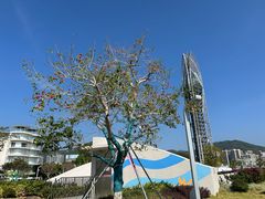 -大梅沙海滨公园