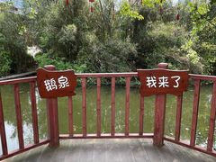 -靖西鹅泉风景区