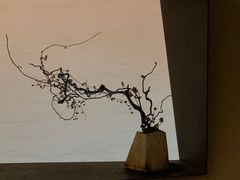 -物心空间