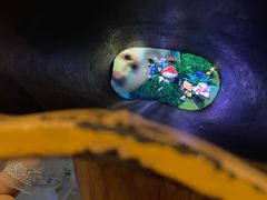 -蓝精灵乐园·世茂精灵之城主题乐园