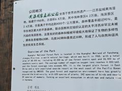 -黄海国家森林公园