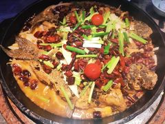 -老板恋上鱼(恒隆广场店)