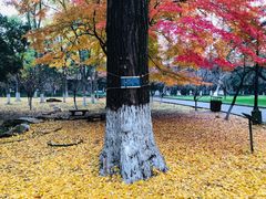 -苏州大学(天赐庄校区)