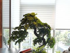 -苏淮景·苏闽融创菜·海鲜(原空港井河轩店)