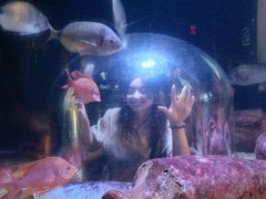 -瑞普利水族馆