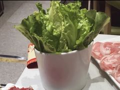 生菜-古乐牛香·鲜牛肉牛杂火锅(梅村五洲国际店)